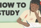 how to study better